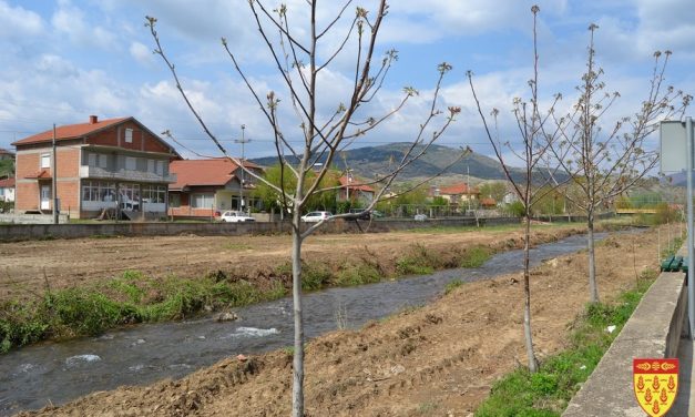 Пролетно уредување на зелените површини во Кочанско и на кејот на реката Масалница