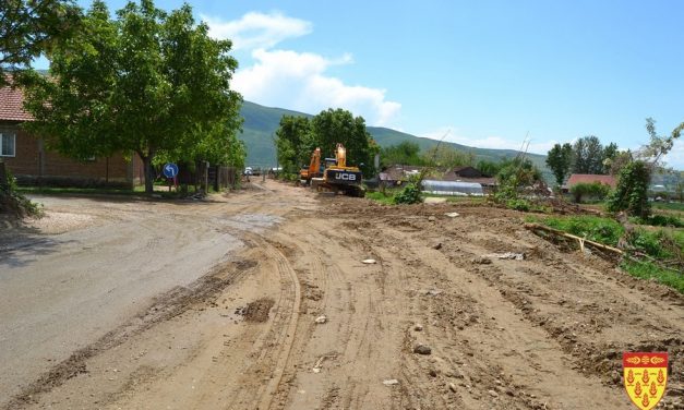Реконструкција на патот од Кочани до селото Мојанци