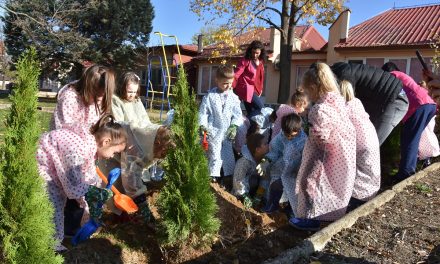 Децата засадија дрвца во дворот на кочанската градинка „Павлина Велјанова“