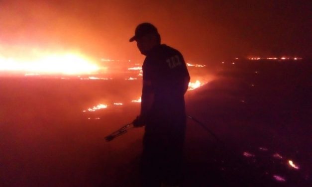 Дванаесет часа непрекината борба со пожарите – Кочанско Поле во пламен