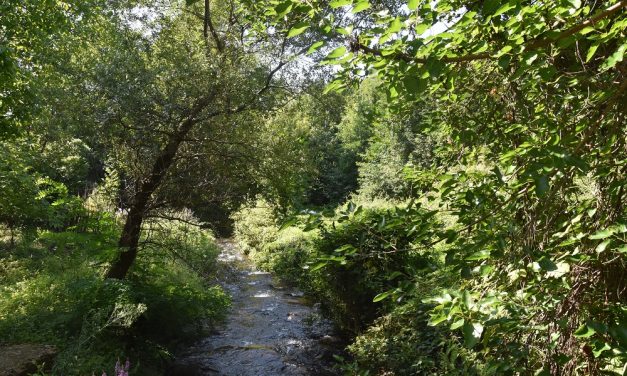 Нови содржини за одмор и рекреација со проектот за регулација на Кочанска Река