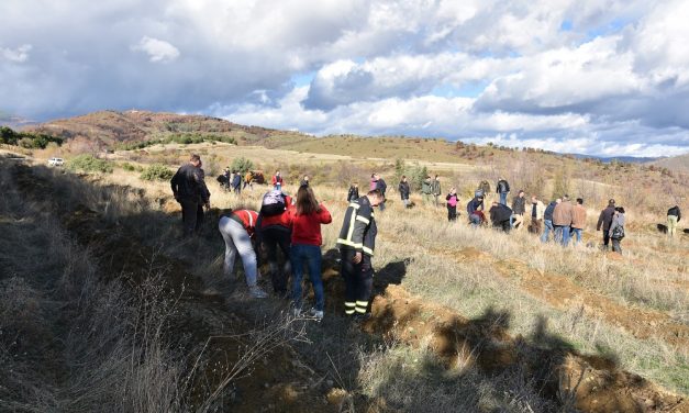 Општина Кочани организира акција за пошумување во месноста Пресечена Скала