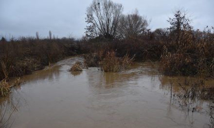 Водостојот во Кочанско е висок – засега нема опасност од поплави