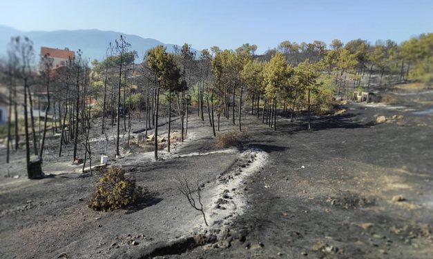 Пожарот целосно е локализиран, хеликоптерите гасат во планинскиот дел од Кочанско