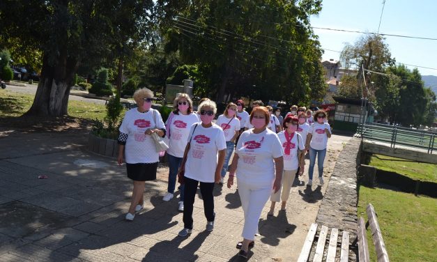 В недела, на 26 септември во Кочани – Розова прошетка под мотото „Трка за лек“