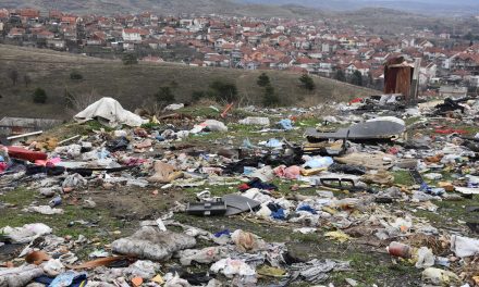 Инспекциски служби од Општина Кочани на терен во Трајаново Трло по пријави за загадување на околината