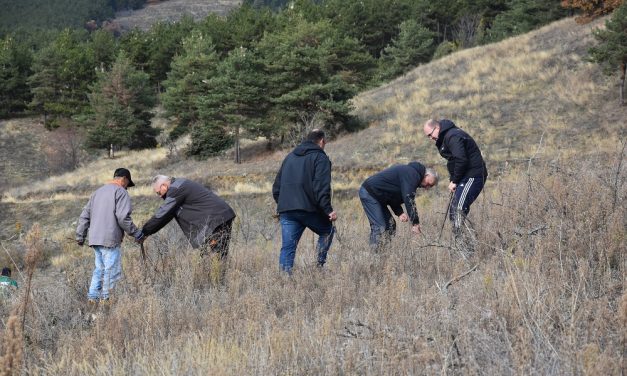 Реализирана акција за пошумување – засадени 3 илјади садници