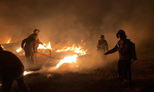 Апел: Да престане палењето на жетвените остатоци