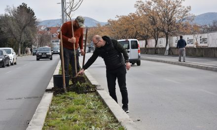 Започна пролетното озеленување на јавните површини во Кочани