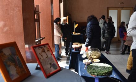 Изложба на уметнички и естетски дела изработени од оризови остатоци