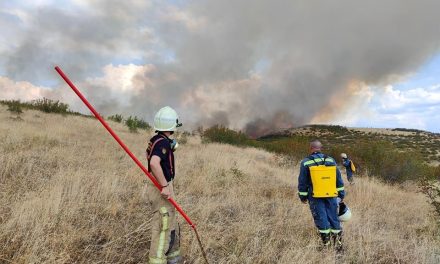 Ликвидиран пожарот во селата Врбица и Соколарци