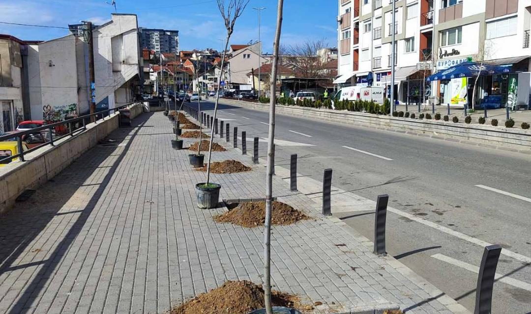 Општина Кочани започна со пролетното озеленување на јавните површини