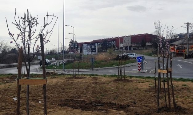 Продолжува озеленувањето на површини во општина Кочани