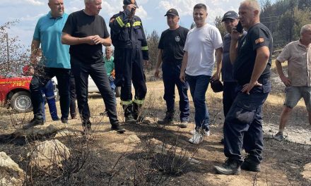 Четврти ден гори шума меѓу Пресека и Цера – во гасењето на пожарот се вклучи и месното население