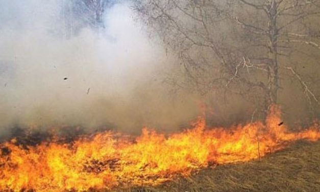 Соопштение до јавноста од Полициската станица за општа надлежност – Кочани