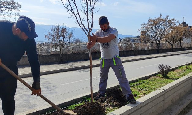 Акција за озеленување на јавни површини во Кочани