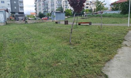 Уредување на тревните површини во детските паркови во Кочани