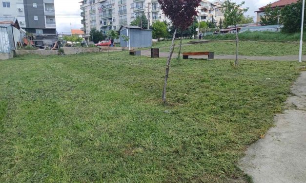 Уредување на тревните површини во детските паркови во Кочани