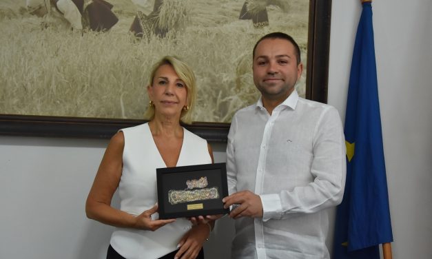 Амбасадорката на Хрватска во посета  на Општина Кочани