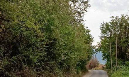 Крпење ударни дупки и реконструкција на сливни решетки од полимер бетон