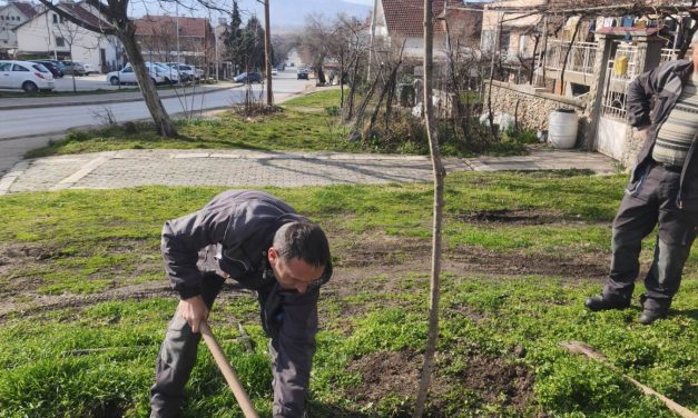 Општина Кочани продолжува со озеленување на јавните површини
