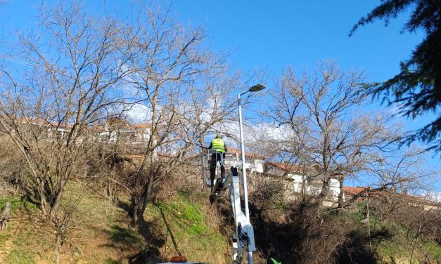 Уредување на вегетацијата околу столбовите за јавно осветлување на влезот во Кочани