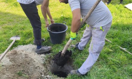 Нови садници на повеќе локации во градот